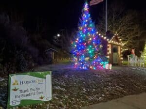 Pictuire of tree and santa house with Harbor One banner at the Rockery in North Easton, MA