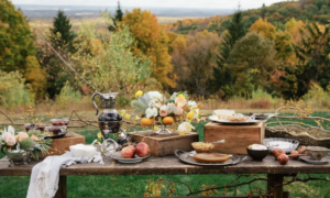 Thanks giving table set outside overlooking the woods and fields.